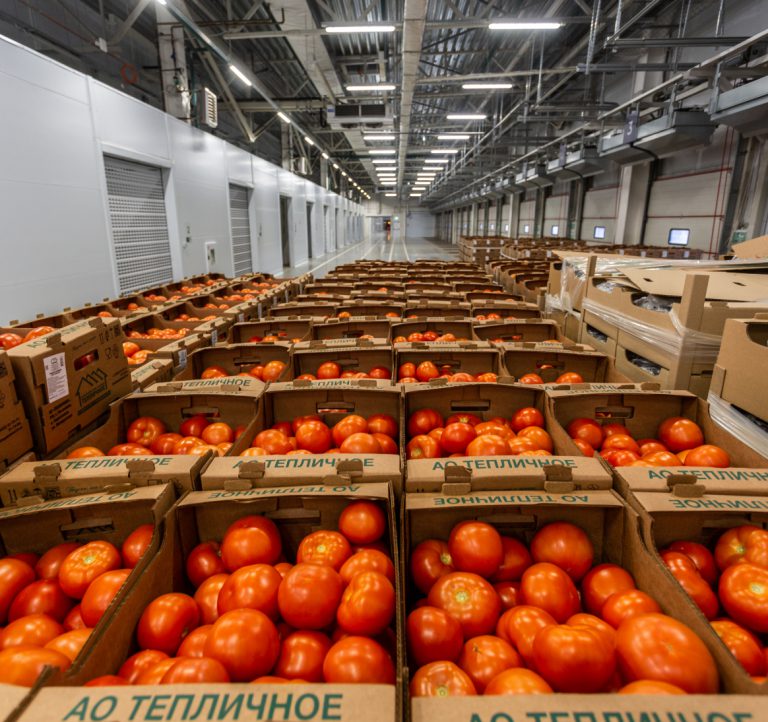 Фасовка Фасовка